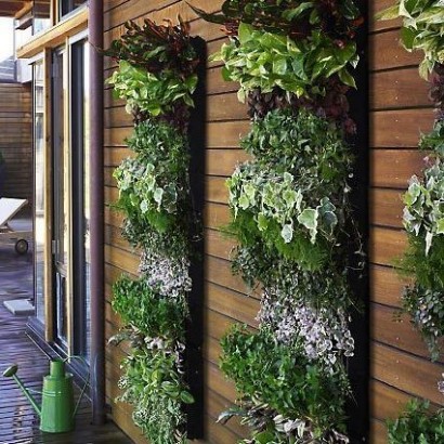Decorate Your home With Vertical Gardening | The Complete Property ...